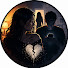 5cQWvc2GQRM-channel-avatar-Viral Drama Tales