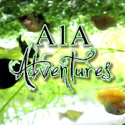 A1A Adventures