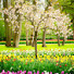 LJTMbS6f2Sg-channel-avatar-Grounded Spirituality 