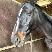 引退馬保護チャンネル