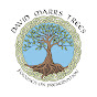 David Marrs Trees LLC - @DMTLLC - Youtube