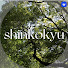 MzZk9RWEDSI-channel-avatar-shinkokyu_room | 心と体の調律師　小西千香