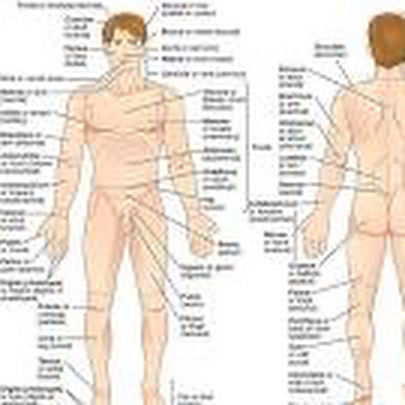 Health tips  YouTube  avatar