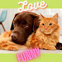 Cats & Dogs - Fun logo