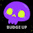 @budgeup