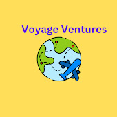 Voyage Ventures