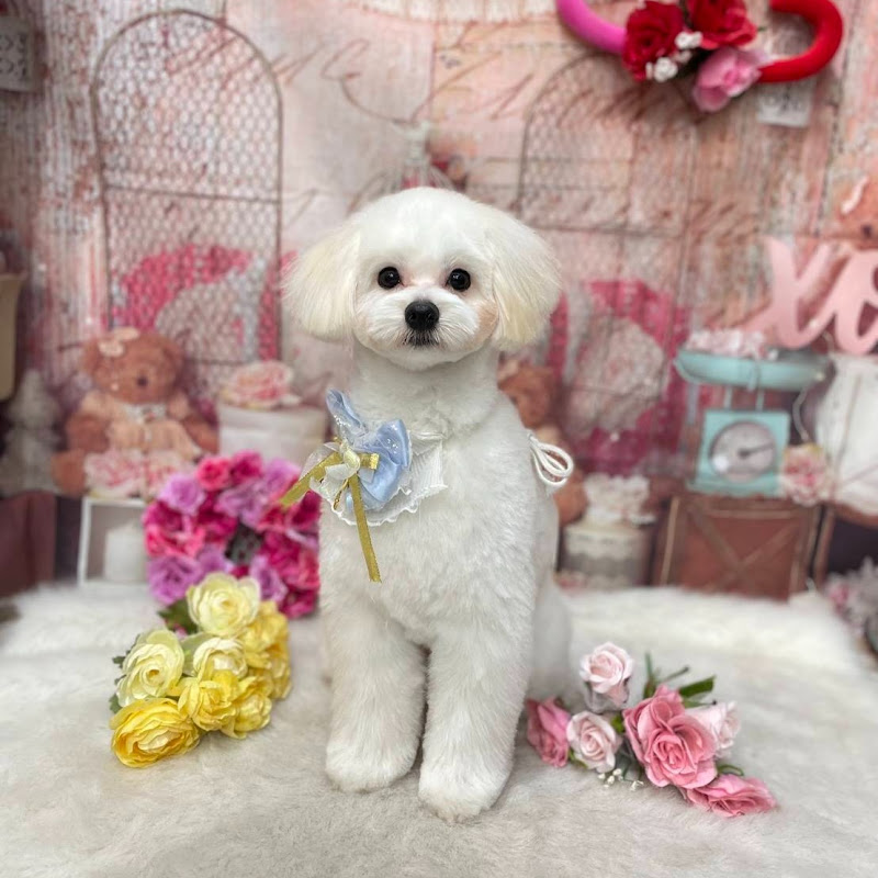 思い出のTEDIORE&OWEN