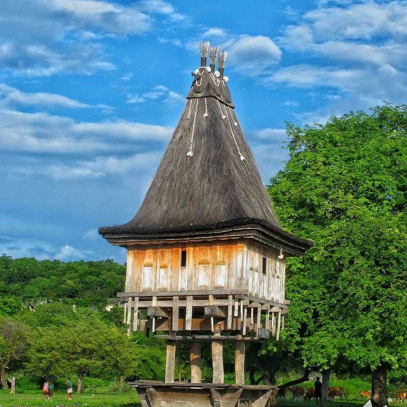 Music Today's lifestyle