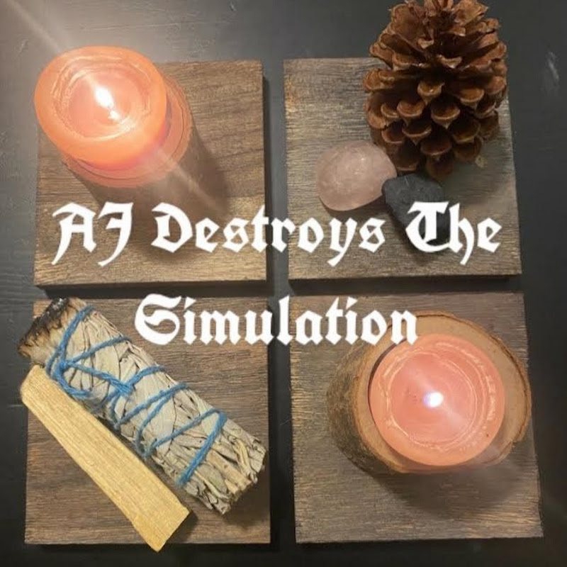 AJ Destroys The Simulation