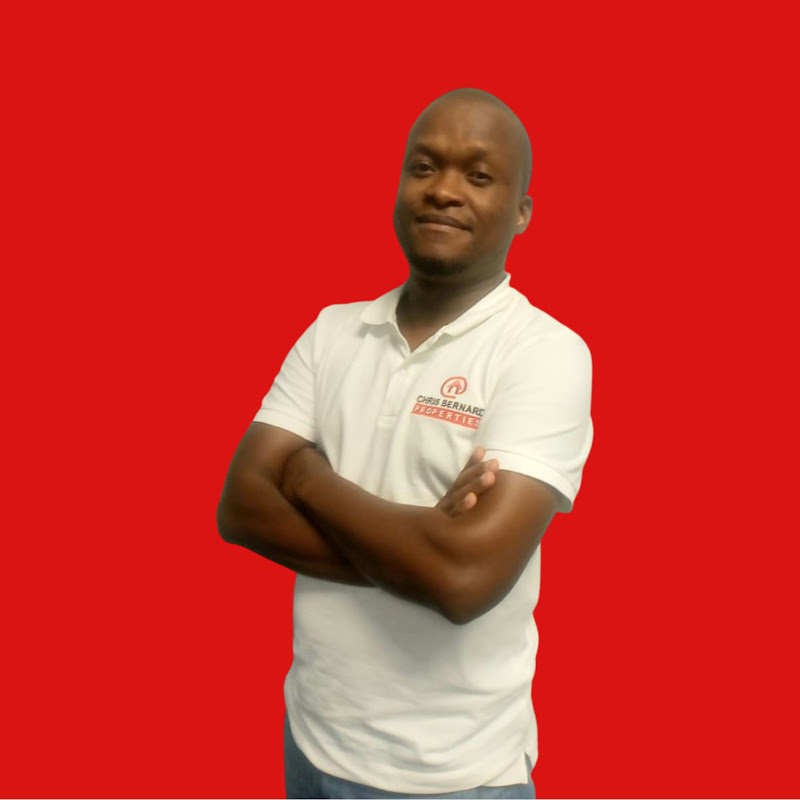 David-Thee Real Estate Agent