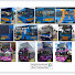 qw_LQgDT9lM-channel-avatar-Stagecoach SW Training