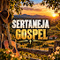RZS68edIymw-channel-avatar-Sertaneja Gospel