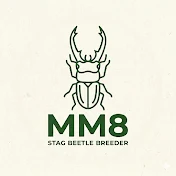 MM8