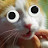 @RaenBastie's avatar