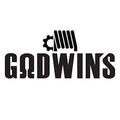 Godwin's Vlog net worth