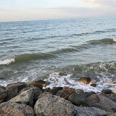 Life in Muscat 
