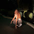 2549NUIyRWI-channel-avatar-Amaris Janee