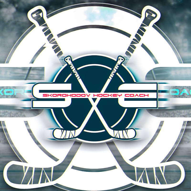 Владимир Скороходов Logo