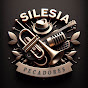 Silesia Pecadores logo