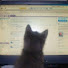 GAllsWrokck-channel-avatar-Krot469 