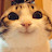 Avatar photo