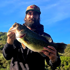 Bassin805