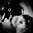 cFxgTCurGuI-channel-avatar-Shiru Dreams