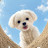 @뭉크뭉-mkm