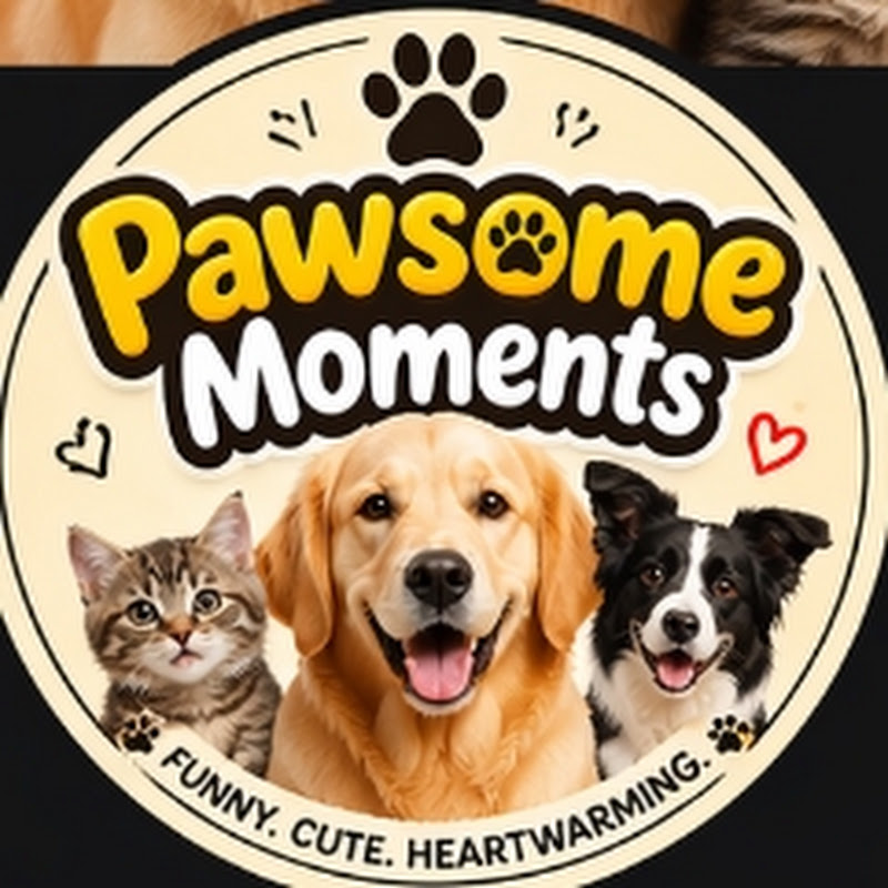 Pawsome moments