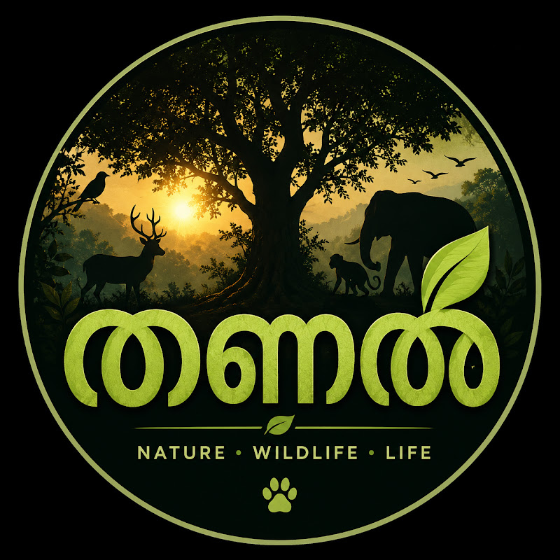 തണൽ