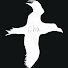8tZ0VFmS9bc-channel-avatar-ChaiKo∣まなざしの旅路