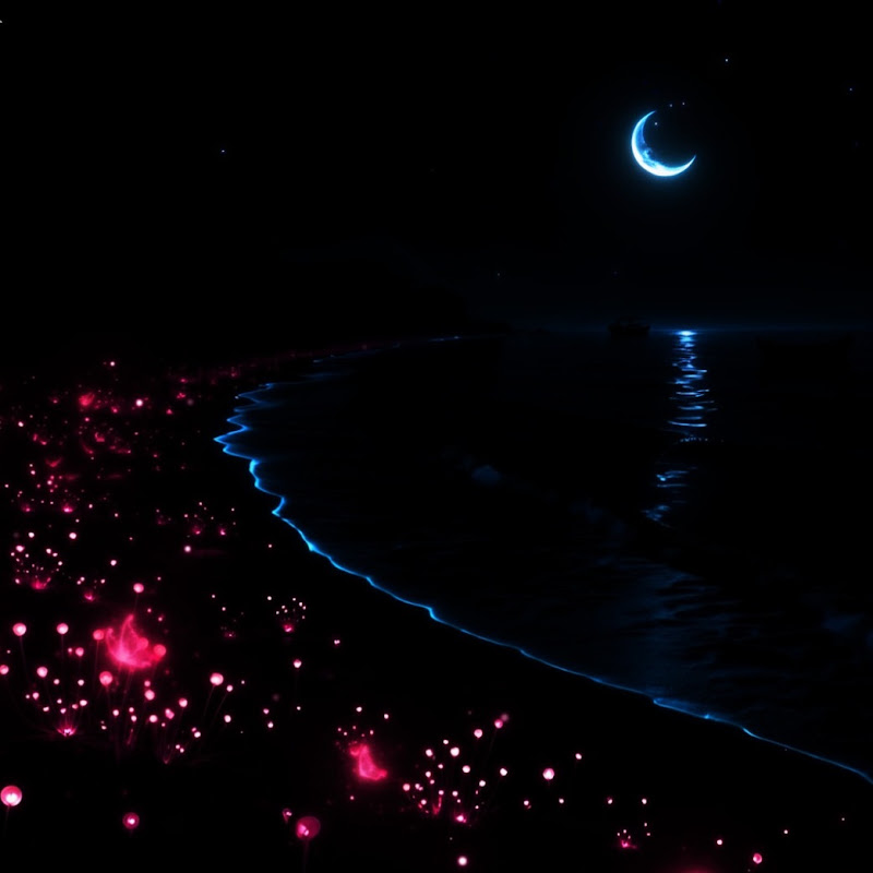 Drift Into Sleep