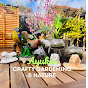 Ayukia Crafty Gardening and Nature  logo