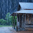 aWoGTas7Uu4-channel-avatar-Rain Silent