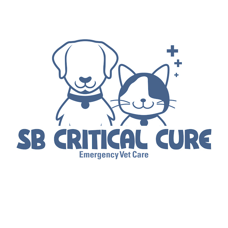SB Critical Cure