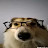 cachorro de óculos