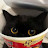 @meow1122sss