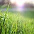 wn2YQ_Ll9Vg-channel-avatar-This acre of mine