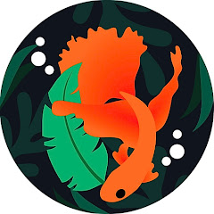 Mr. Betta - Aquarismo Avatar