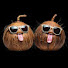 6JSWAKIRYFM-channel-avatar-Two Hairy Coconuts
