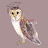 Harvard Nomad Owl