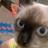 @تونس-س7ب