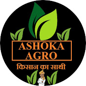 Ashoka Automobile