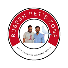 Rubesh pet’s zone channel logo
