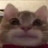 @SillentStriker's avatar