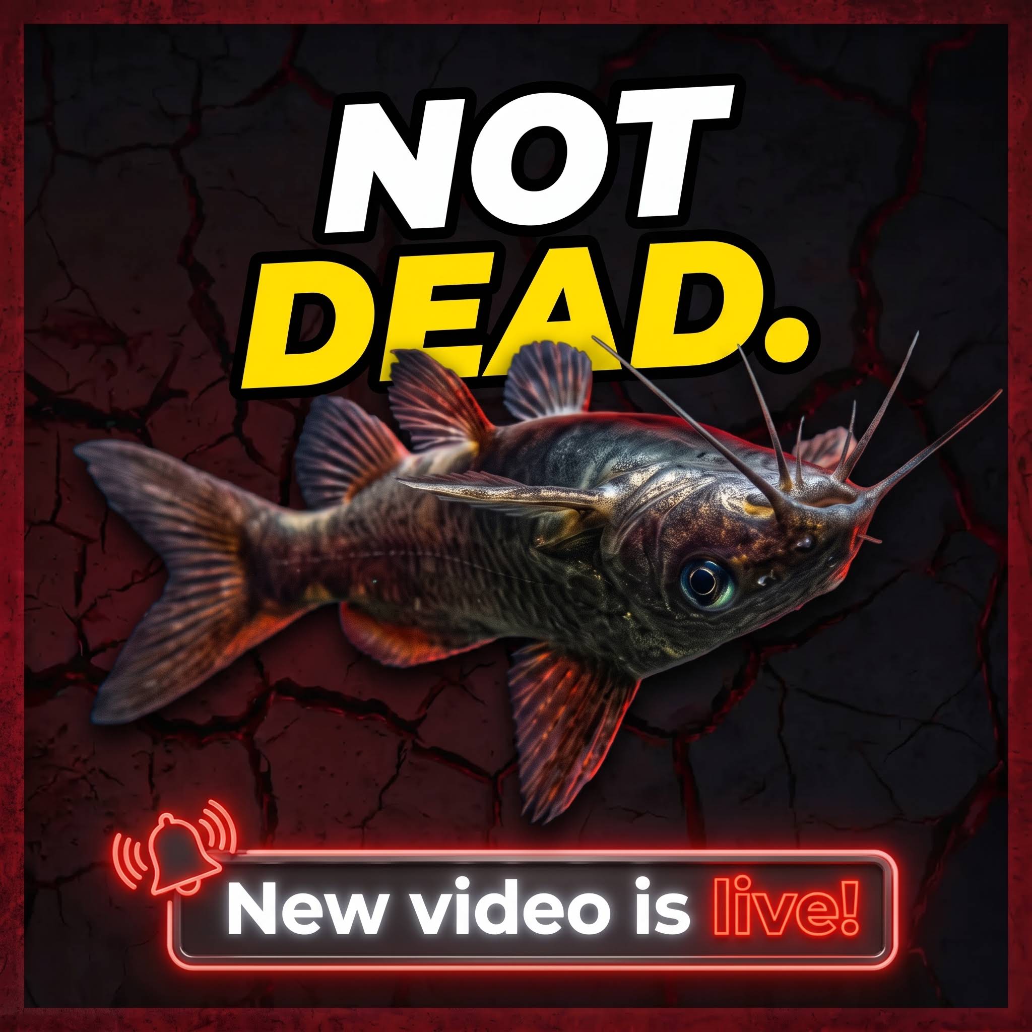 Community post