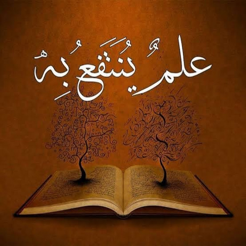 rania saeed (education)