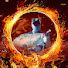 4oaxOSgN9Fg-channel-avatar-Art Fishing Tv