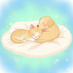 Cozy Healing Critters