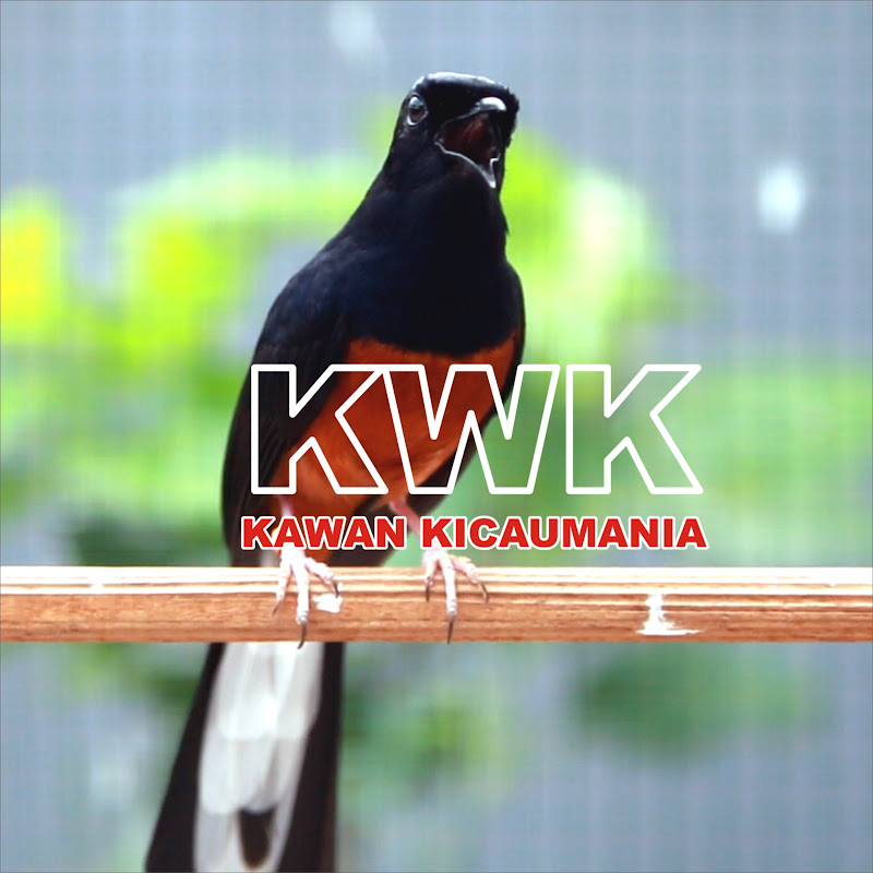 KWK kawan kicaumania